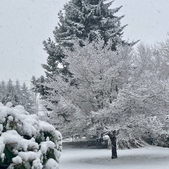 Meet your Posher, Jessie Leigh - Picture 10 of 11